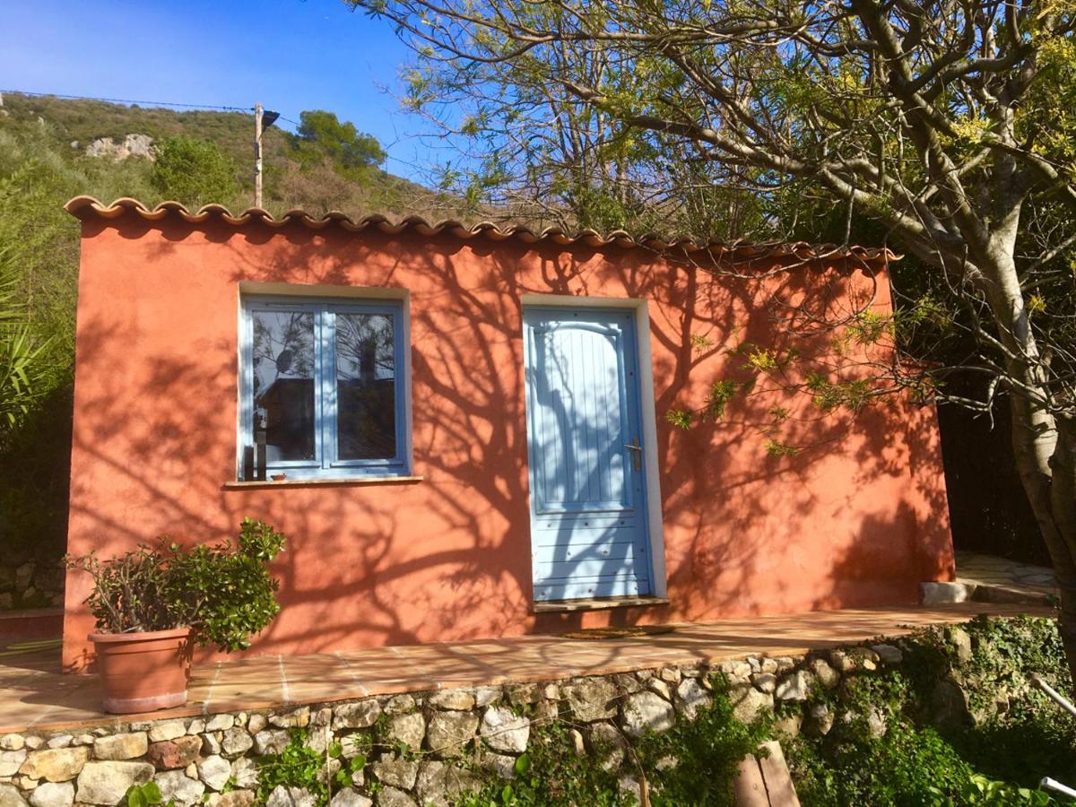 Magnifique Studio Dans Maisonnette Tourrettes-sur-Loup Bagian luar foto